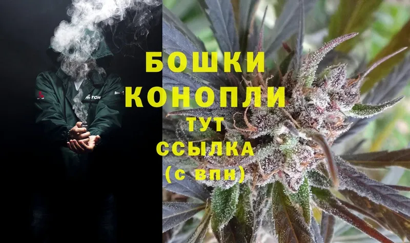 Каннабис Bruce Banner  Аша 